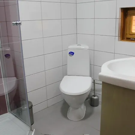 Pensionat Cerdacul Cu Stuf