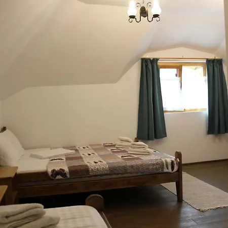 Gasthof Cerdacul Cu Stuf