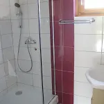 Cerdacul Cu Stuf 3*