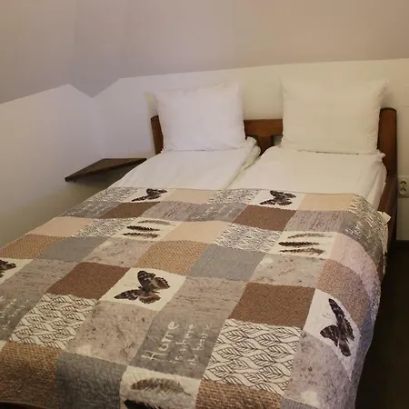 Casa de hóspedes Cerdacul Cu Stuf Sfântu Gheorghe