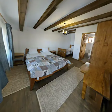 Cerdacul Cu Stuf بيت ضيافة 3*