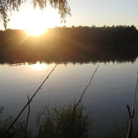 بيت ضيافة Cerdacul Cu Stuf سفنتو جيورجي