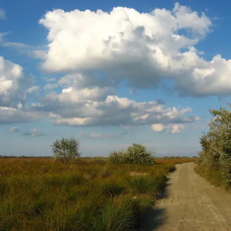 Cerdacul Cu Stuf سفنتو جيورجي